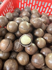 HẠT MẮC CA RANG HỒNG NGOẠI (500g)