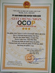 HẠT MACCA SẤY TÁCH KẼ THOA QUANG (500g)