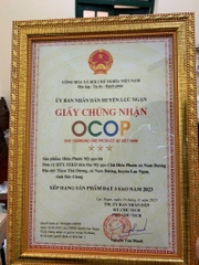 HIỀN PHƯỚC MỲ GẠO LỨT (500g)
