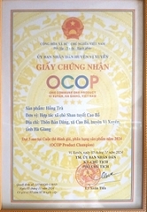 HỒNG TRÀ (hộp 100 g)