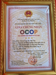 KHOAI LANG SẤY MẬT ONG (200g)