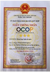 KHOAI LANG NGHỆ SẤY GIÒN (500g)