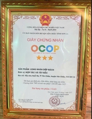 LONG NHÃN DIỆP BÁCH (Lọ 200g)