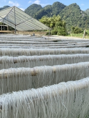 MIẾN DONG THUẬN TÂM (Sợi to 1kg)