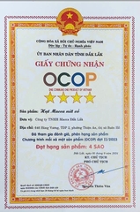 HẠT MACCA NỨT VỎ (500g)
