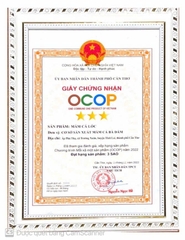 MẮM CÁ LÓC (500g)