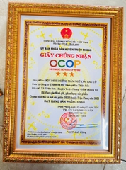 BỘT DINH DƯỠNG MẦM NGŨ CỐC RAU CỦ