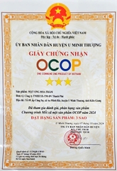 MẬT ONG HOA TRÀM (500ml)