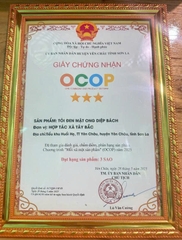 TỎI ĐEN MẬT ONG - DIỆP BÁCH (Lọ 380ml)