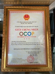 MỲ CHŨ THUẬN HƯƠNG (1Kg)