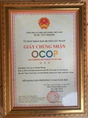 MỲ RAU CỦ THUẬN HƯƠNG (1Kg)