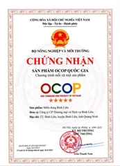 MIẾN DONG BÌNH LIÊU (Hộp 1Kg)
