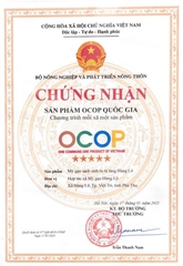 MỲ GẠO SẠCH SINH RA TỪ LÀNG HÙNG LÔ ( 1 Thùng 20 gói x500g)