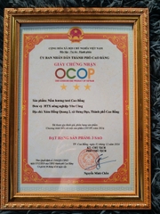 NẤM HƯƠNG CAO BẰNG (Túi 200g)