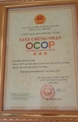NẤM LIM XANH (Hộp 500 g)