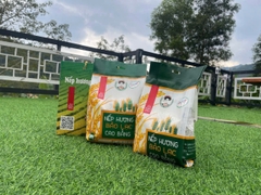 NẾP HƯƠNG BẢO LẠC HATODO (1kg)