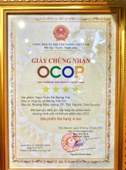 NGỌC XUÂN TRÀ HƯƠNG VÂN (250g)