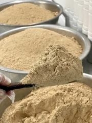 NGŨ CỐC DUY OANH ( 1 Hộp 500g)