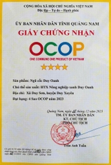 NGŨ CỐC DUY OANH ( 1 Hộp 500g)