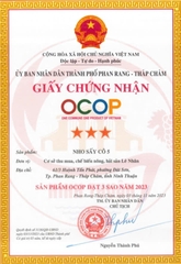 NHO SẤY CÔ 5 (150g)