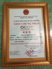 NHO SẤY KHÔNG ĐƯỜNG (200g)