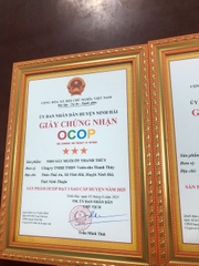 NHO SẤY MUỐI ỚT THANH THỦY (250g)