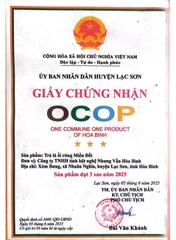 TRÀ LÁ ỔI RỪNG MIỀN ĐỒI (1 bộ 4 hộp)