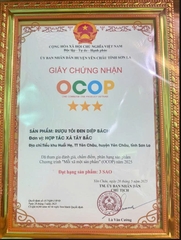 RƯỢU TỎI ĐEN - DIỆP BÁCH (Chai thủy tinh 500ml)