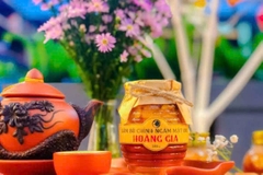 SÂM BỐ CHÍNH NGÂM MẬT ONG HOÀNG GIA (380ml)
