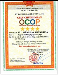 SẦU RIÊNG SẤY THĂNG HOA ĐÔNG NGHI (50g)
