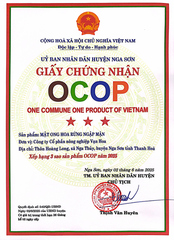MẬT ONG HOA RỪNG NGẬP MẶN ( 650ml)