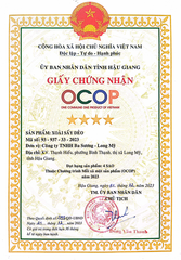 XOÀI SẤY DẺO MUỐI ỚT (500g)
