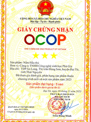 NẤM HẦU THỦ ( 300g )