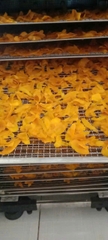 SNACK NGHỆ  SẤY MẬT ONG ĐƯỜNG PHÈN (50g)