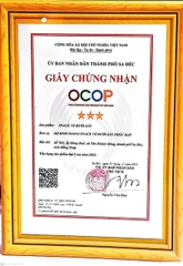 SNACK VỎ BƯỞI SẤY (50g)