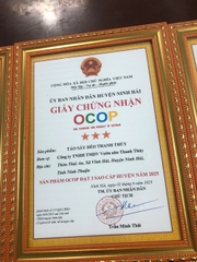 TÁO SẤY DẺO THANH THỦY ( 200g)
