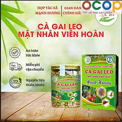 TRÀ TÚI LỌC CÀ GAI LEO ( 300g )