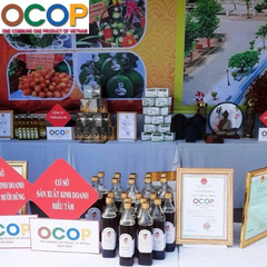 MẬT ONG BỘNG ÔNG HIỂU HOÀI ÂN ( 1 lít)