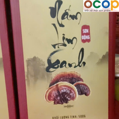 NẤM LIM XANH (Hộp 500 g)