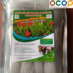 MIẾN DONG THUẬN TÂM (Sợi nhỏ 500g)