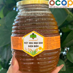 MẬT ONG HOA BAN ( 750ml )