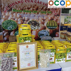 MACADAMIA HOÀNG LIÊN (Nứt vỏ 500g)