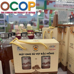 MẬT ONG SÚ VẸT ( 2 chai 1 lít)