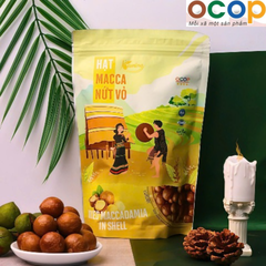 HẠT MACCA NỨT VỎ (500g)