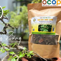 CHÈ DÂY TRÚC QUÁN THÔ