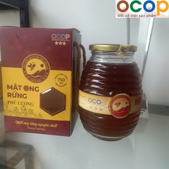 MẬT ONG RỪNG PHÚ LƯƠNG (750ml)