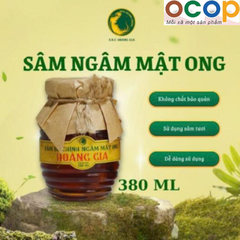 SÂM BỐ CHÍNH NGÂM MẬT ONG HOÀNG GIA (380ml)