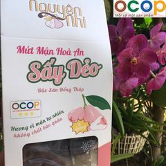 MỨT MẬN HOÀ AN SẤY DẺO  NGUYÊN VỊ (350g)