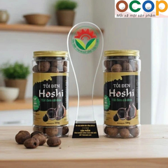 TỎI ĐEN HOSI (Hộp 500g)