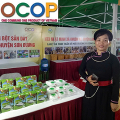 BỘT SẮN DÂY THỤC SƠN SD ( 500g)